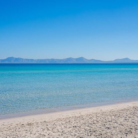 Ideal Property Mallorca - Casa Pinar 알쿠디아 외부 사진