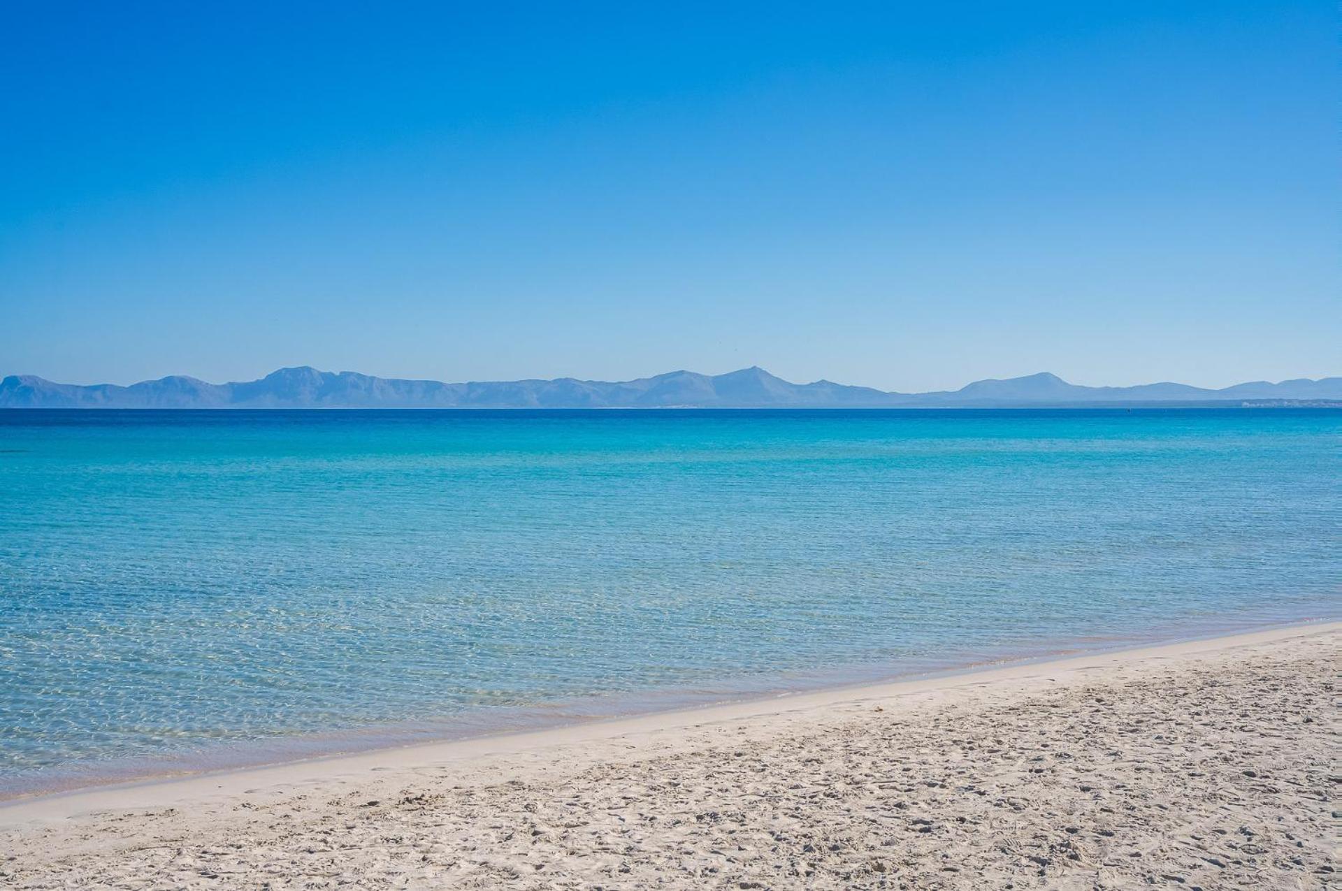Ideal Property Mallorca - Casa Pinar 알쿠디아 외부 사진